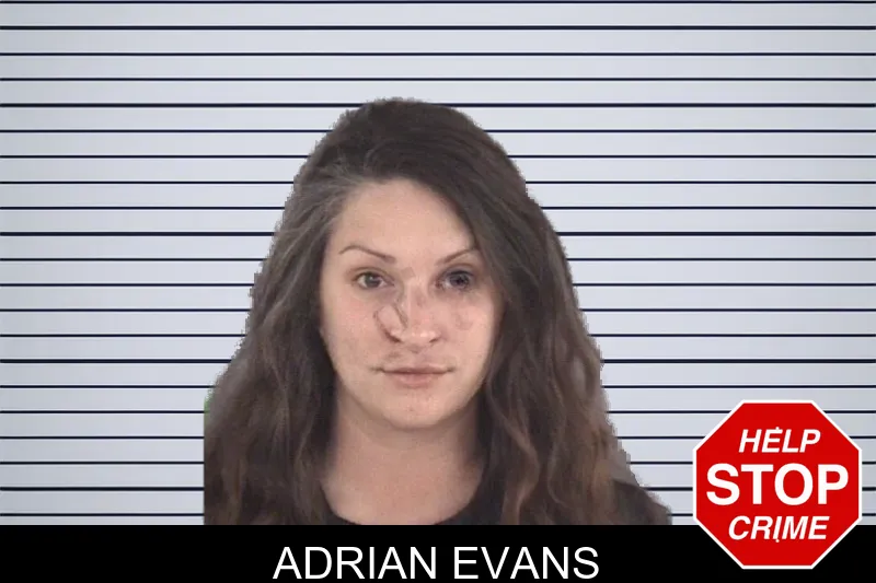 Adrian Evans mugshot – Spalding County , Georgia Adrian Evans mugshot