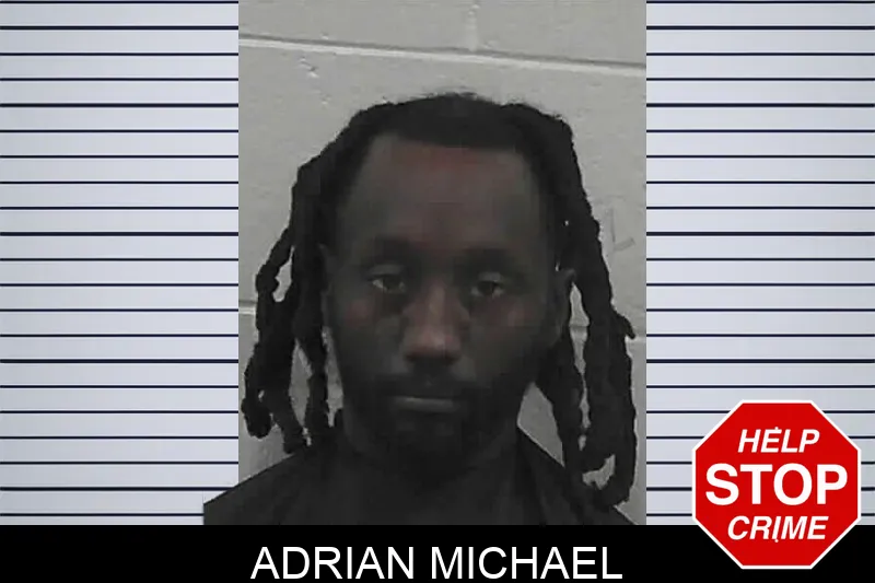 Adrian Michael mugshot