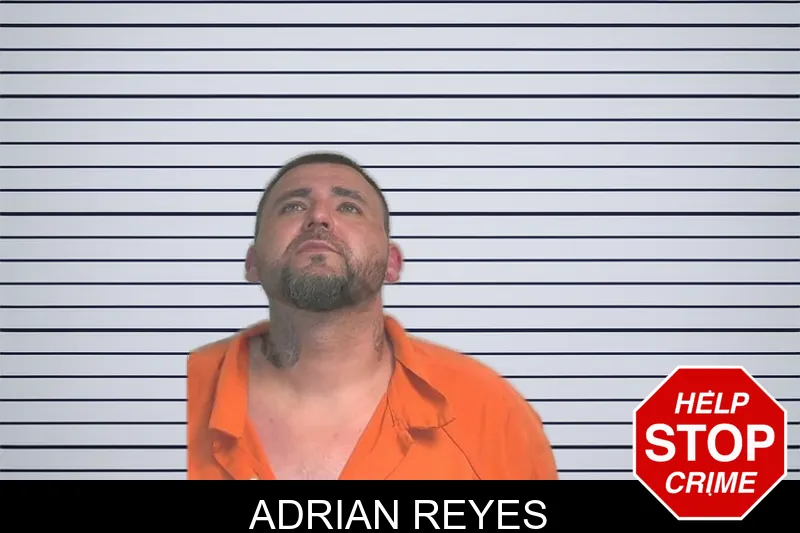 Adrian Reyes mugshot