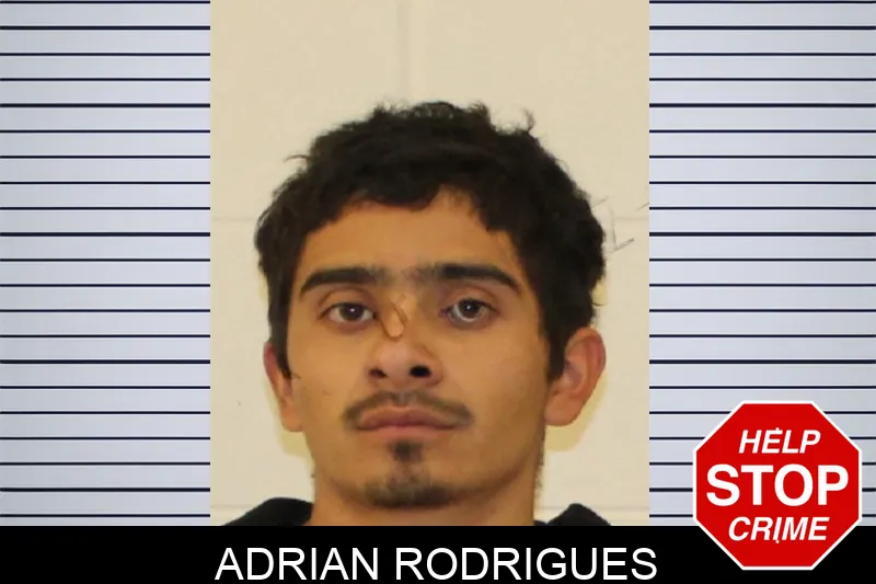 Adrian Rodrigues mugshot