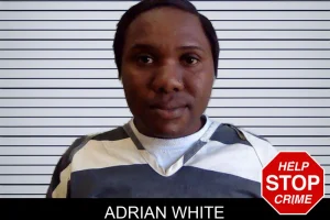 Adrian White mugshot