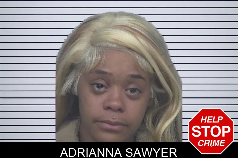 Adrianna Sawyer mugshot