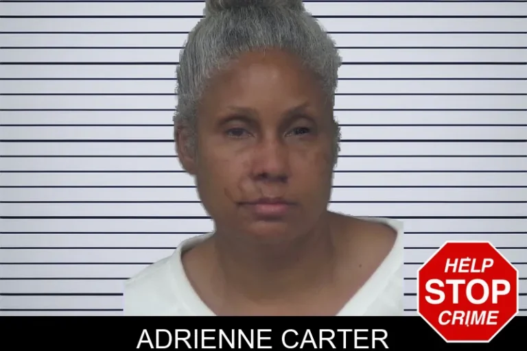 Adrienne Carter mugshot – Gwinnett County , Georgia Adrienne Carter