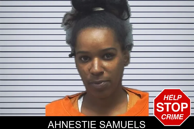 Ahnestie Samuels mugshot