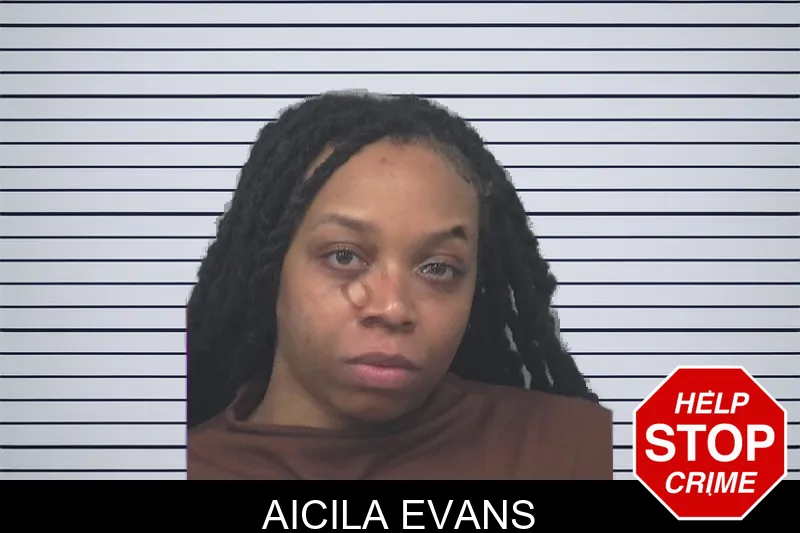 Aicila Evans mugshot – Gwinnett County , Georgia Aicila Evans mugshot