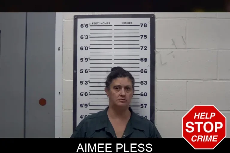 Aimee Pless