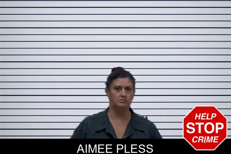 Aimee Pless mugshot – Irwin County , Georgia Aimee Pless