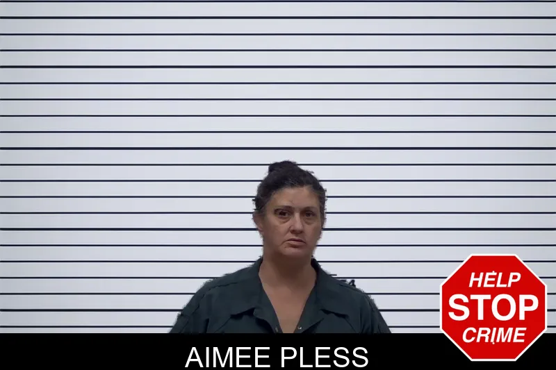 Aimee Pless mugshot – Irwin County , Georgia Aimee Pless mugshot