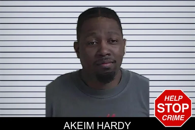 Akeim Hardy mugshot – Fannin County , Georgia Akeim Hardy