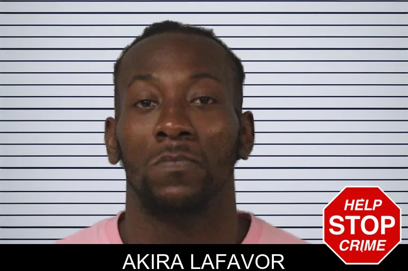 Akira Lafavor mugshot – Mcintosh County , Georgia Akira Lafavor mugshot