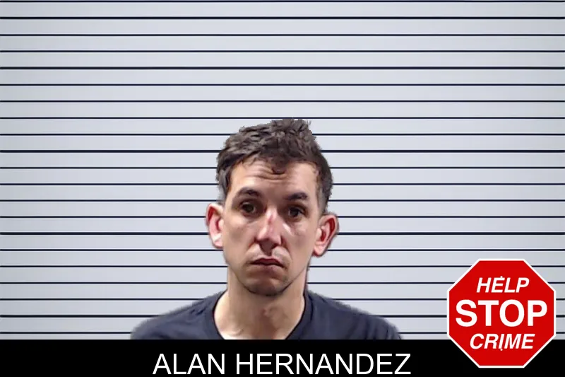 Alan Hernandez mugshot