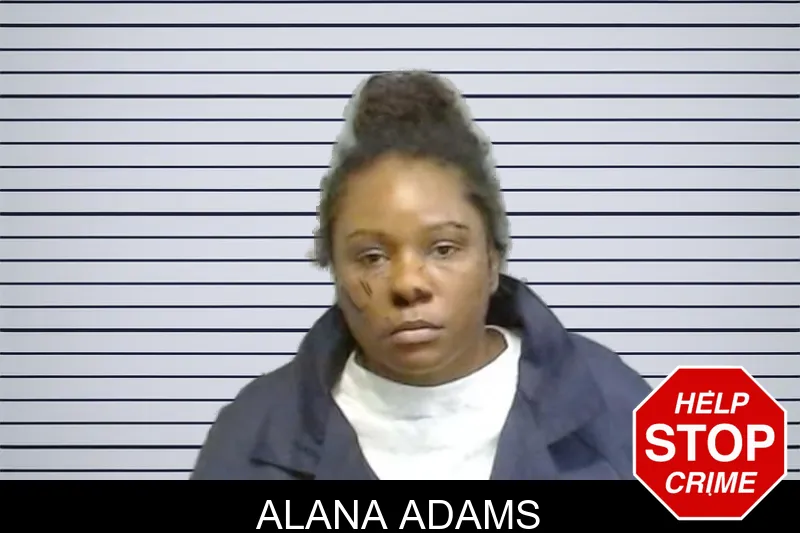 Alana Adams mugshot