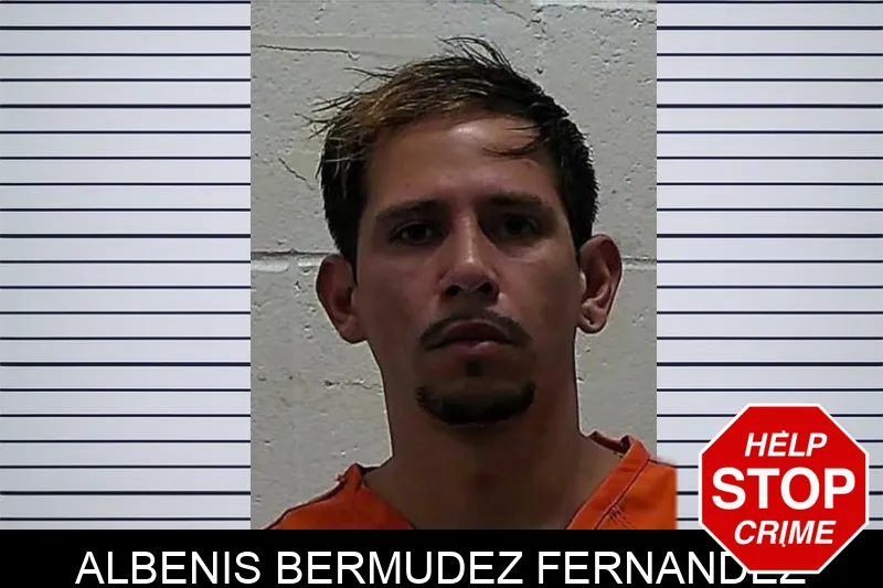 Albenis Bermudez Fernandez mugshot