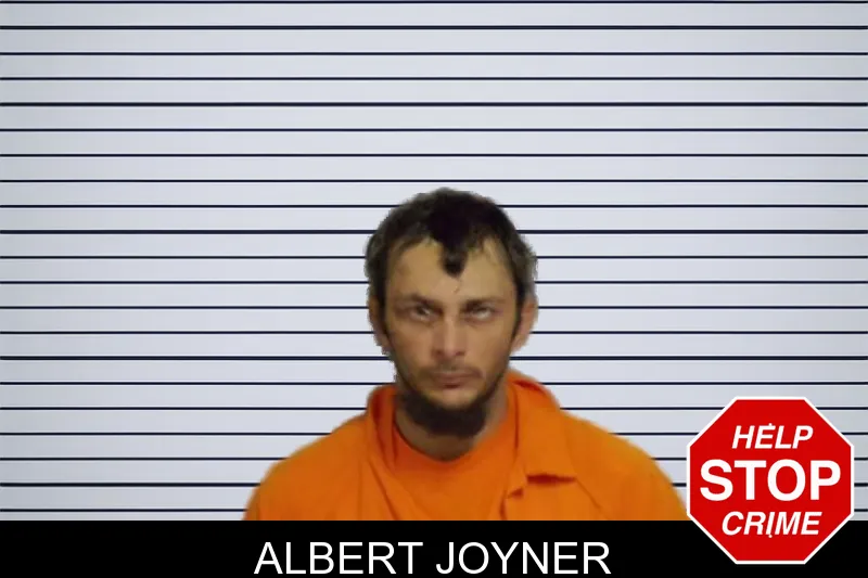 Albert Joyner mugshot