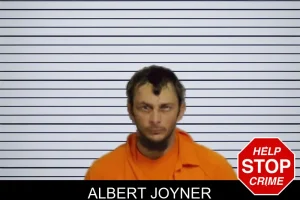 Albert Joyner mugshot