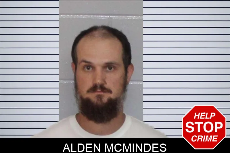 Alden McMindes mugshot
