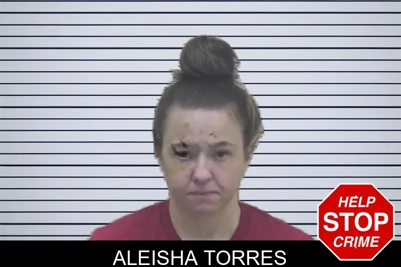 Aleisha Torres mugshot