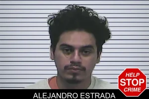 Alejandro Estrada mugshot