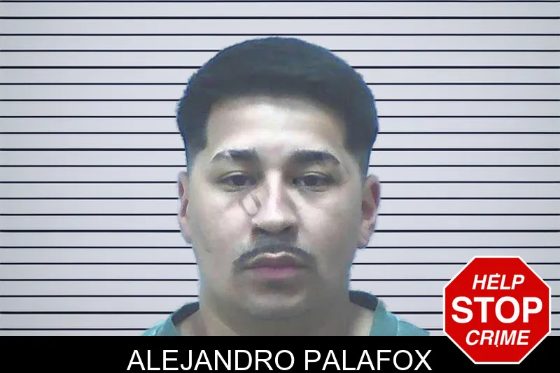 Alejandro Palafox mugshot