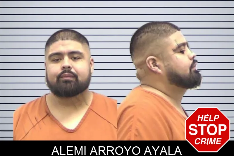 Alemi Arroyo Ayala mugshot