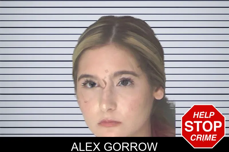 Alex Gorrow mugshot