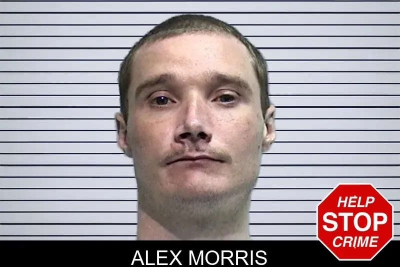 Alex Morris mugshot