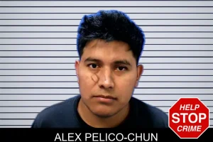 Alex Pelico-Chun mugshot