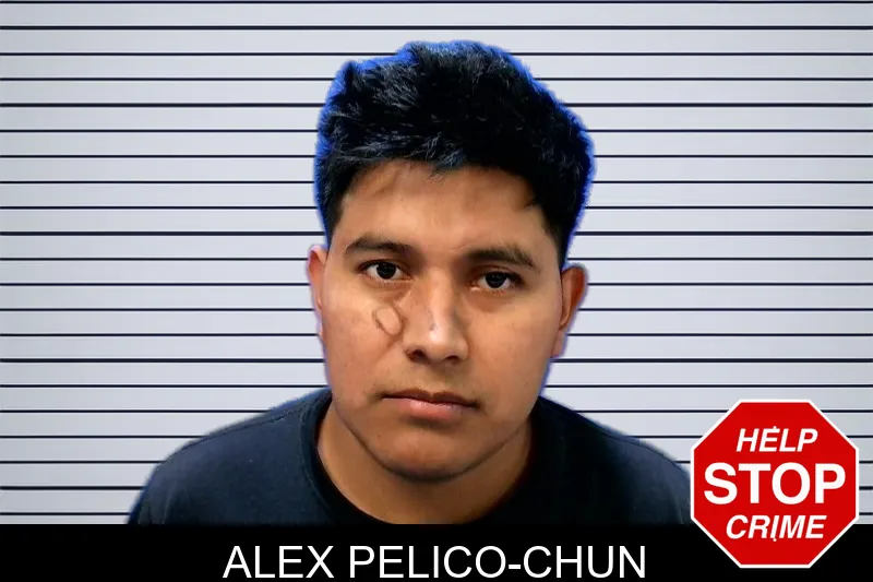 Alex Pelico-Chun mugshot