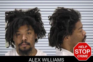 Alex Williams mugshot