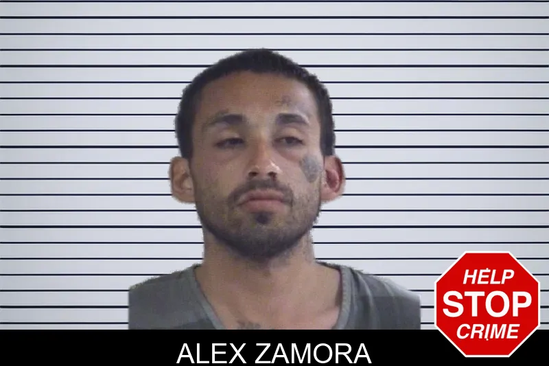 Alex Zamora mugshot