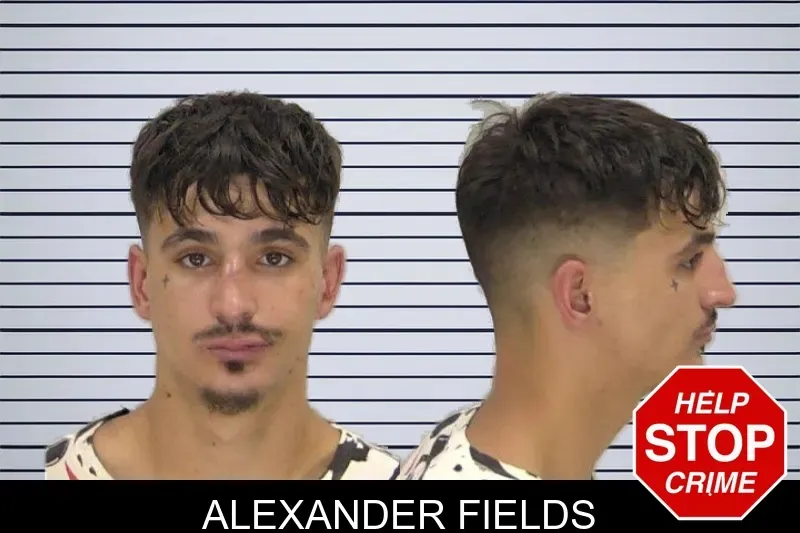 Alexander Fields mugshot