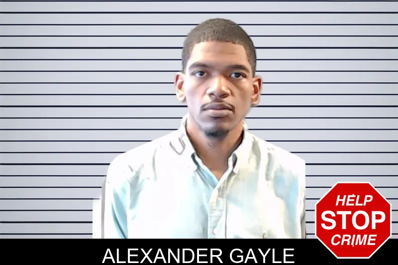 Alexander Gayle mugshot