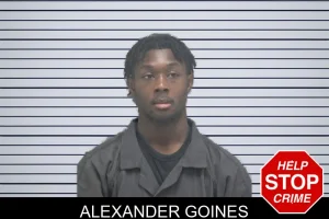Alexander Goines mugshot