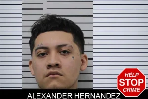 Alexander Hernandez mugshot