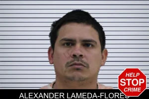 Alexander Lameda-Flores mugshot