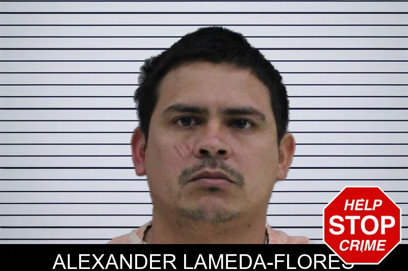 Alexander Lameda-Flores mugshot