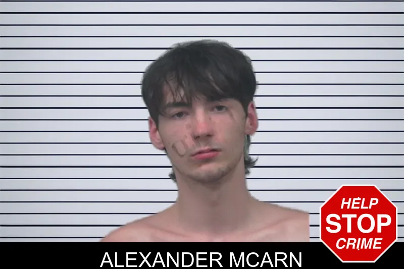 Alexander McArn mugshot