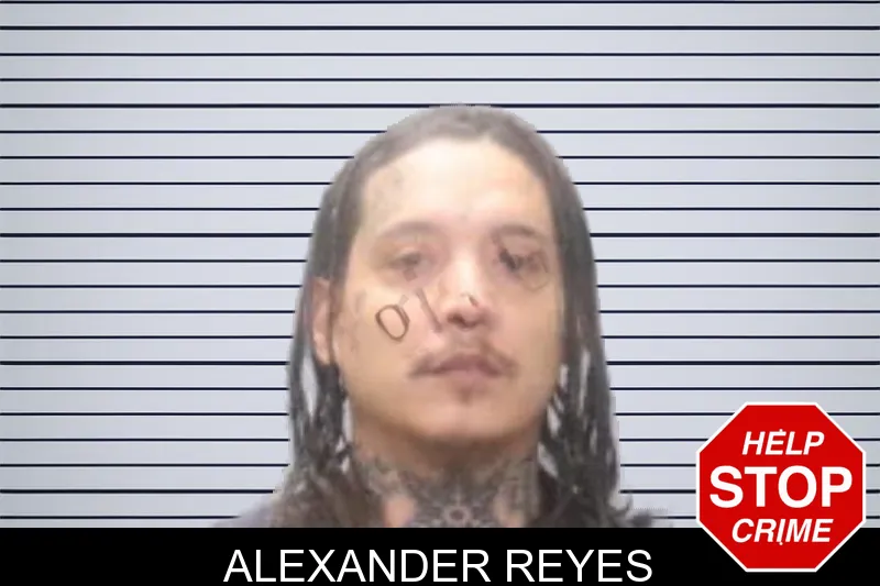 Alexander Reyes mugshot
