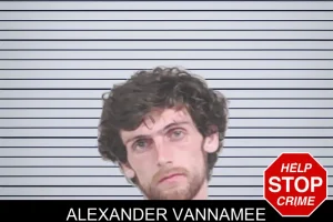 Alexander Vannamee mugshot