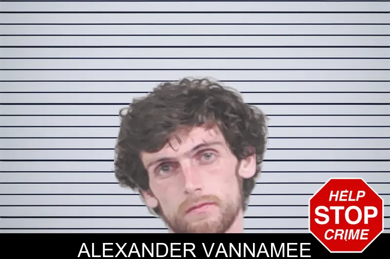 Alexander Vannamee mugshot