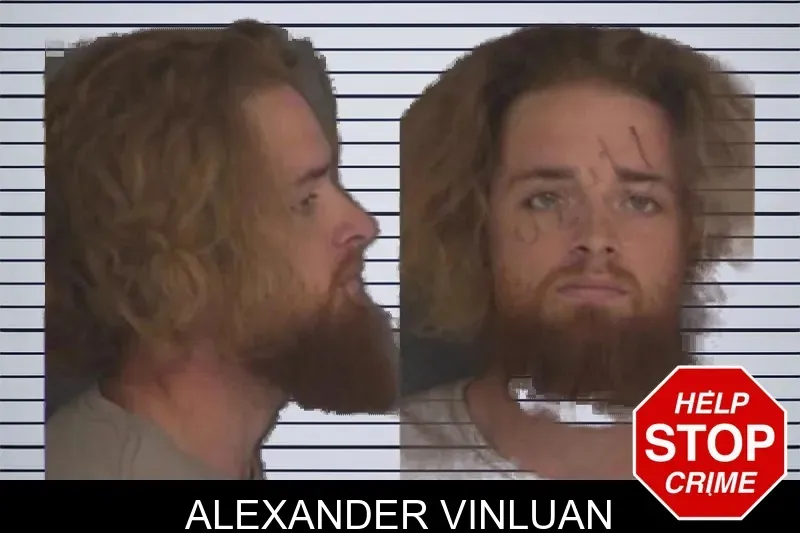 Alexander Vinluan mugshot