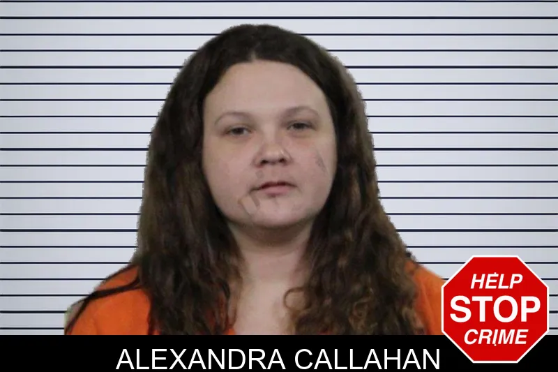 Alexandra Callahan mugshot – Lamar County , Georgia Alexandra Callahan mugshot