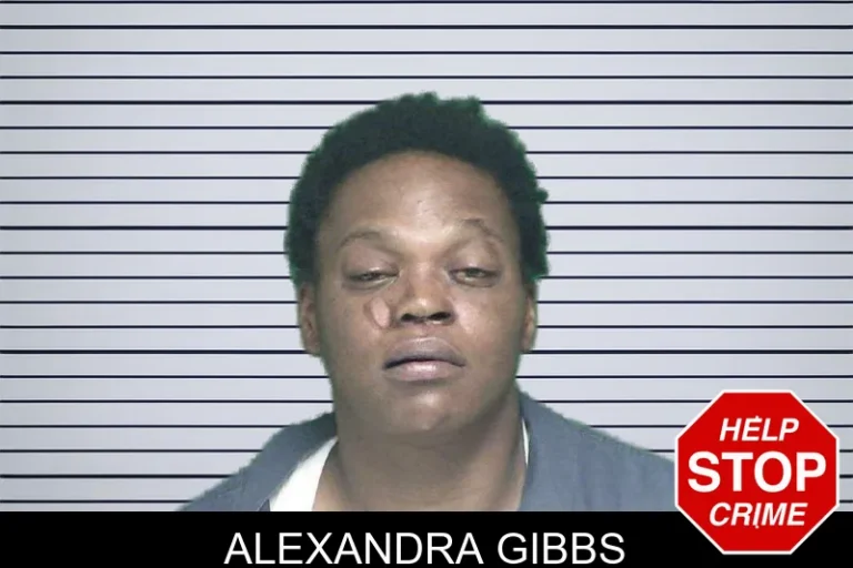 Alexandra Gibbs mugshot – Appling County , Georgia Alexandra Gibbs