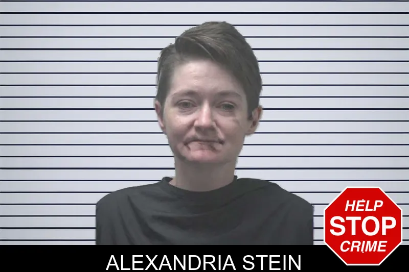 Alexandria Stein mugshot