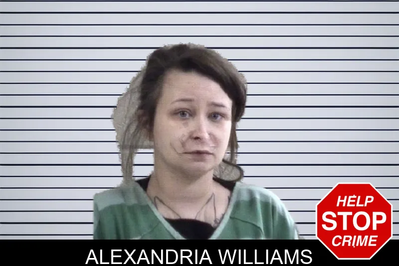 Alexandria Williams mugshot