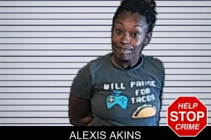 Alexis Akins mugshot