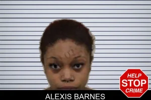 Alexis Barnes mugshot