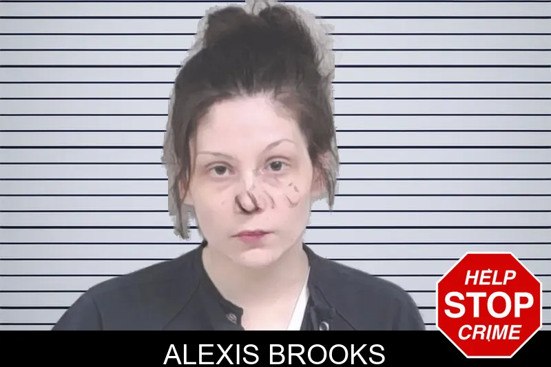 Alexis Brooks mugshot – Lowndes County , Georgia Alexis Brooks mugshot