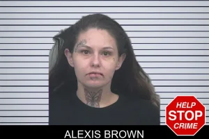 Alexis Brown mugshot