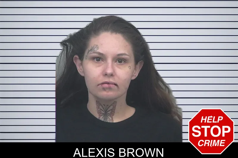 Alexis Brown mugshot – Gwinnett County , Georgia Alexis Brown mugshot